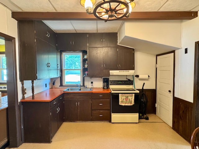 720 Fir Ave, Bird Island, MN 55310 - kitchen with range with electric stovetop, under cabinet range hood, a chandelier, light flooring, and dark brown cabinets