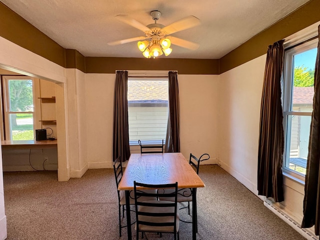 720 Fir Ave, Bird Island, MN 55310 - dining space featuring carpet flooring and healthy amount of natural light