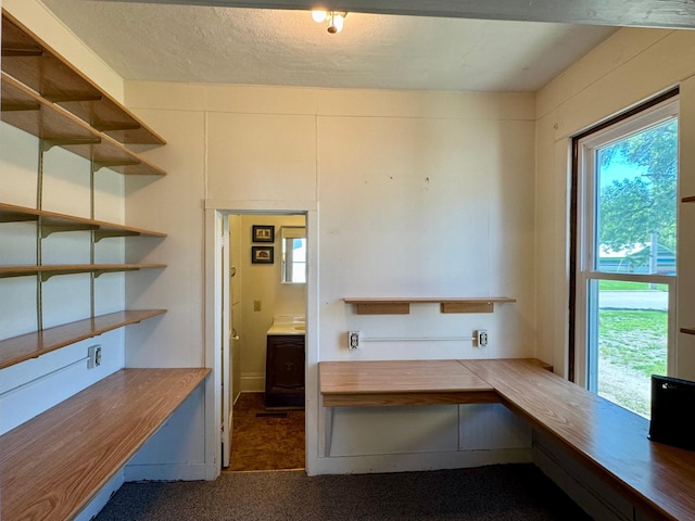 720 Fir Ave, Bird Island, MN 55310 - unfurnished office featuring carpet flooring and a textured ceiling