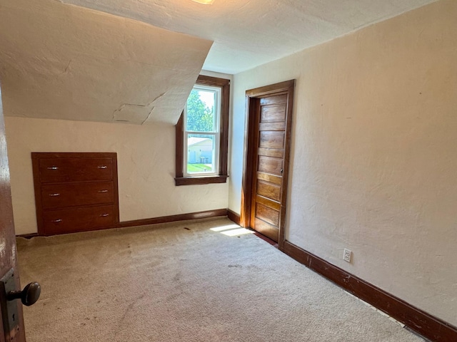 720 Fir Ave, Bird Island, MN 55310 - additional living space with carpet, vaulted ceiling, and a textured wall