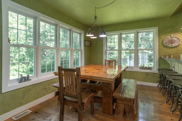 1069 134th St SW, Sylvan Twp, MN 56473 - dining space featuring baseboards and hardwood / wood-style floors