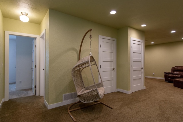 1069 134th St SW, Sylvan Twp, MN 56473 - hallway with carpet and recessed lighting