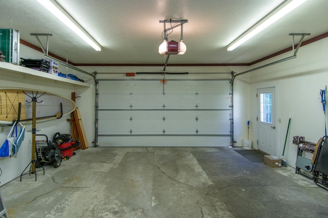 1069 134th St SW, Sylvan Twp, MN 56473 - garage featuring a garage door opener