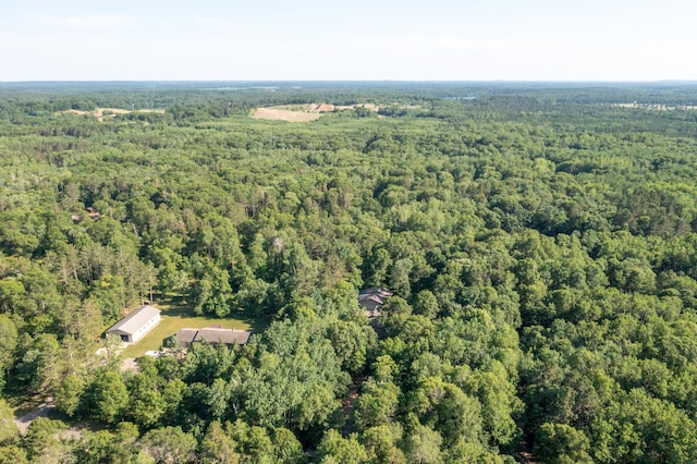 1069 134th St SW, Sylvan Twp, MN 56473 - bird's eye view of a heavily wooded area