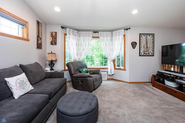 106 12th St NE, Barnesville, MN 56514 - living room with carpet flooring and recessed lighting