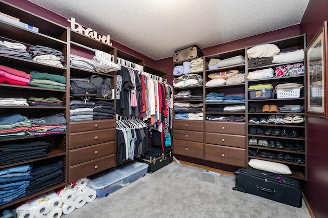 106 12th St NE, Barnesville, MN 56514 - spacious closet with carpet floors