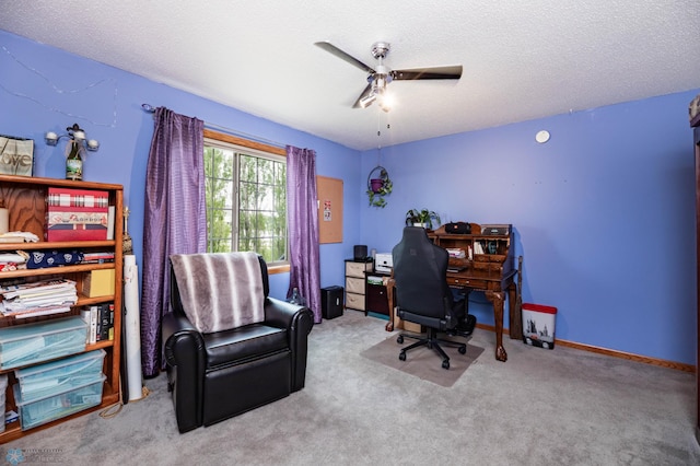 106 12th St NE, Barnesville, MN 56514 - office space featuring a ceiling fan, carpet floors, and a textured ceiling