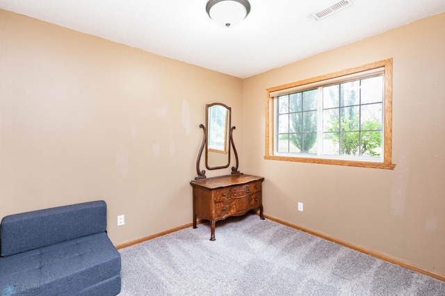 106 12th St NE, Barnesville, MN 56514 - sitting room with carpet flooring and baseboards