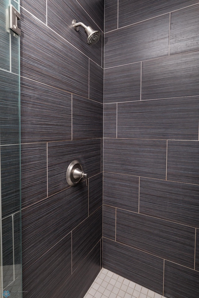 4701 11th St W, West Fargo, ND 58078 - full bath with a shower stall