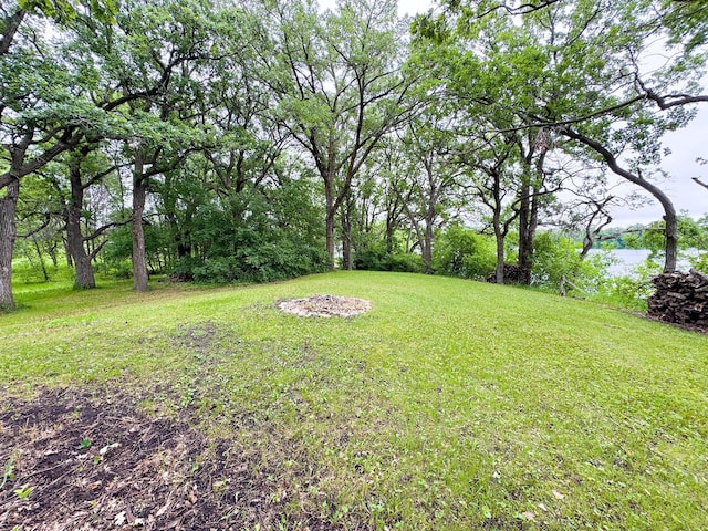 34002 Fiske View Dr, Underwood, MN 56586 - view of green lawn