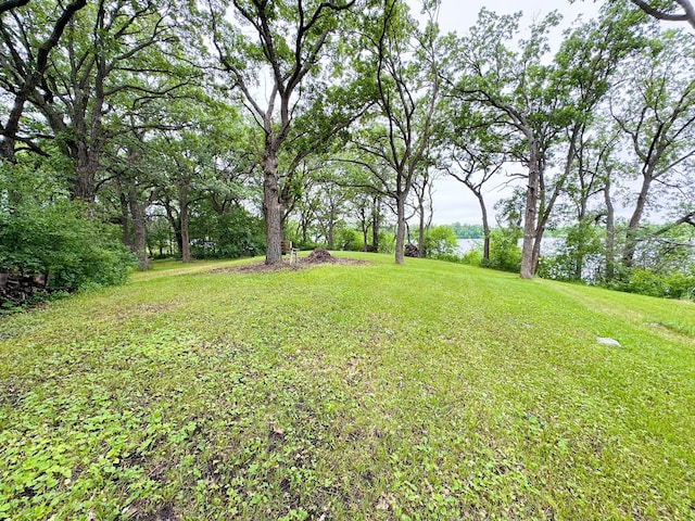 34002 Fiske View Dr, Underwood, MN 56586 - view of grassy yard