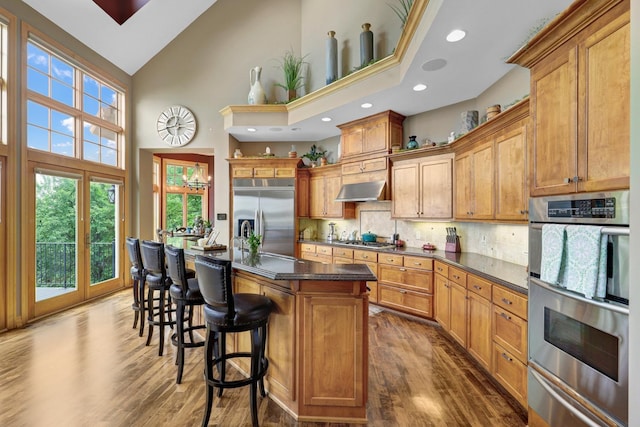 22620 Hayward Ave N, Forest Lake, MN 55025 - kitchen featuring stainless steel appliances, a warming drawer, high vaulted ceiling, dark wood-type flooring, and under cabinet range hood