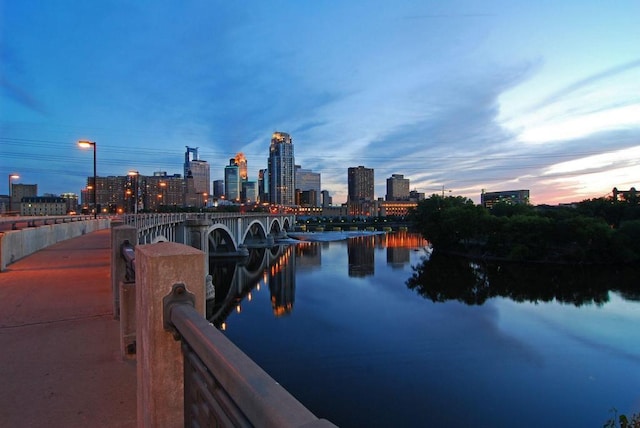 215 7th St NE Unit 205, Minneapolis, MN 55413 - water view with skyline