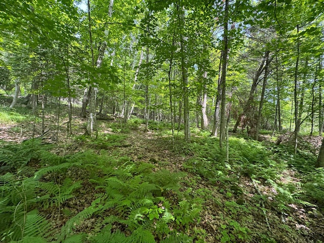 Listing photo - caption unavailable