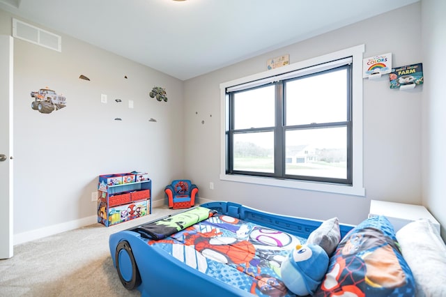 1205 Skyview Cir NW, Rochester, MN 55901 - bedroom featuring multiple windows and carpet flooring