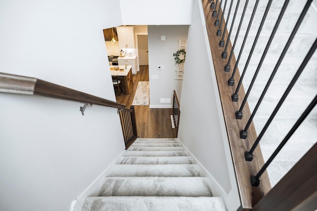 1205 Skyview Cir NW, Rochester, MN 55901 - stairs with wood finished floors and baseboards