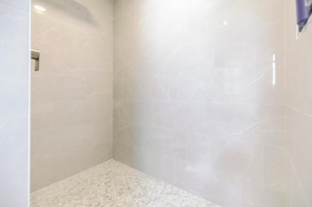 1205 Skyview Cir NW, Rochester, MN 55901 - full bath featuring a tile shower