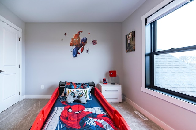 1205 Skyview Cir NW, Rochester, MN 55901 - carpeted bedroom with multiple windows