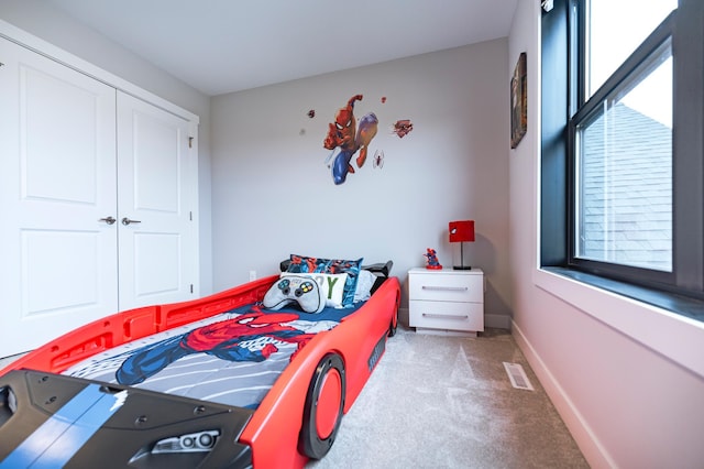 1205 Skyview Cir NW, Rochester, MN 55901 - bedroom with light colored carpet and a closet