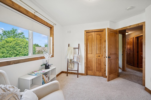 853 Texas Ct NW, Hutchinson, MN 55350 - living area with carpet and baseboards