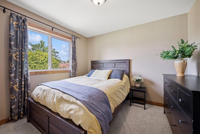 853 Texas Ct NW, Hutchinson, MN 55350 - bedroom with light carpet and baseboards