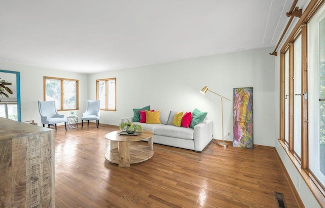 237 Campbell Dr, Hopkins, MN 55343 - living room with wood finished floors
