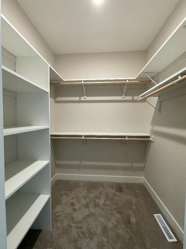 1945 Spruce Meadows Dr SE, Rochester, MN 55904 - spacious closet with carpet