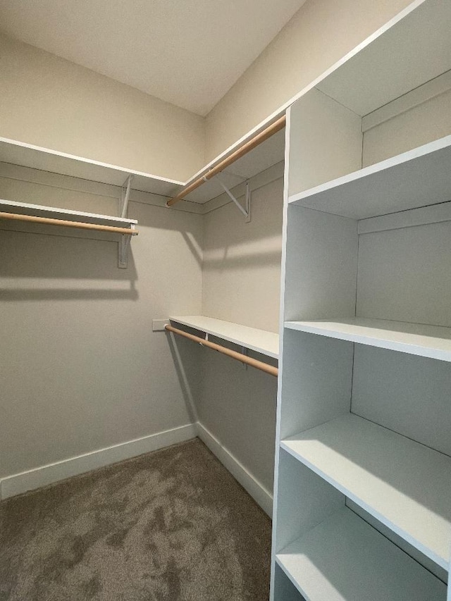 1945 Spruce Meadows Dr SE, Rochester, MN 55904 - walk in closet with dark colored carpet