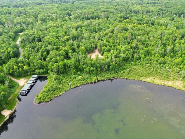 7787 Agency Narrows Dr NW, Walker, MN 56484 - photo 3
