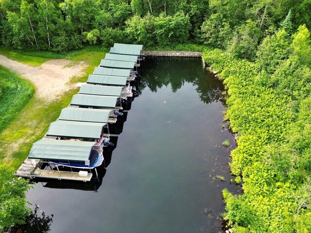 7787 Agency Narrows Dr NW, Walker, MN 56484 - photo 4