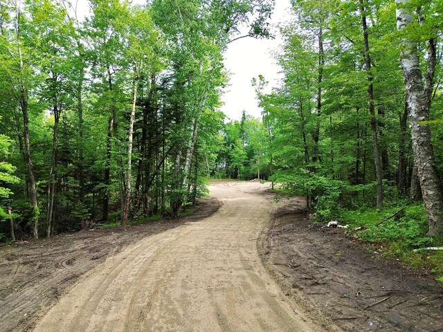 7787 Agency Narrows Dr NW, Walker, MN 56484 - photo 7
