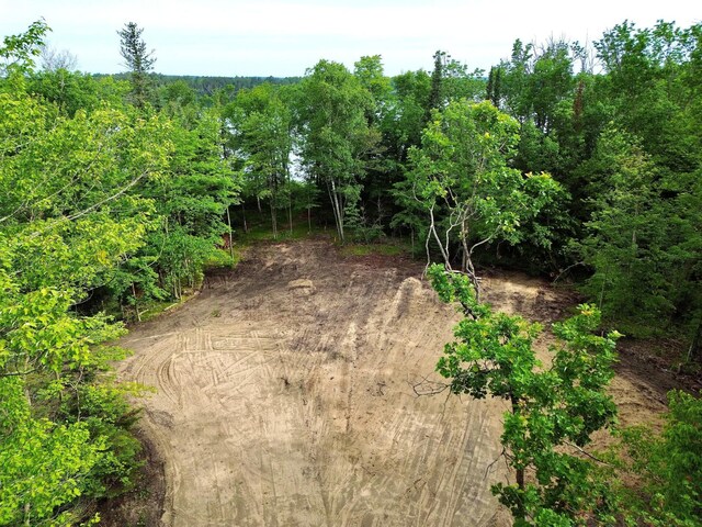 7787 Agency Narrows Dr NW, Walker, MN 56484 - photo 8