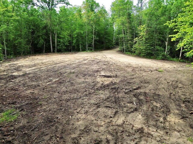 7787 Agency Narrows Dr NW, Walker, MN 56484 - photo 9