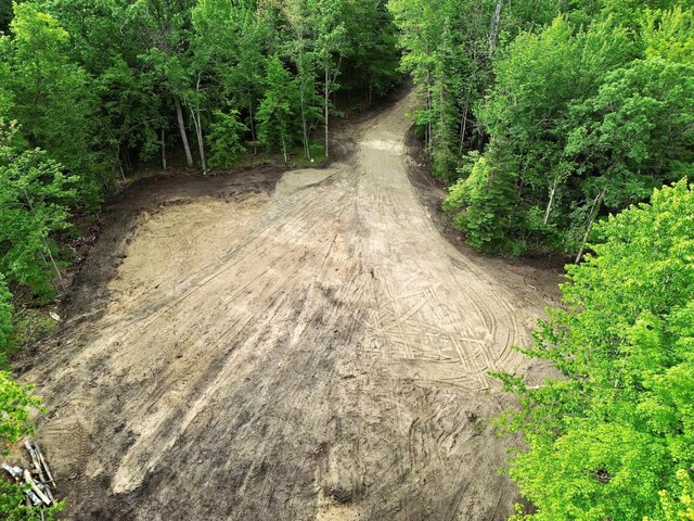 7787 Agency Narrows Dr NW, Walker, MN 56484 - photo 10