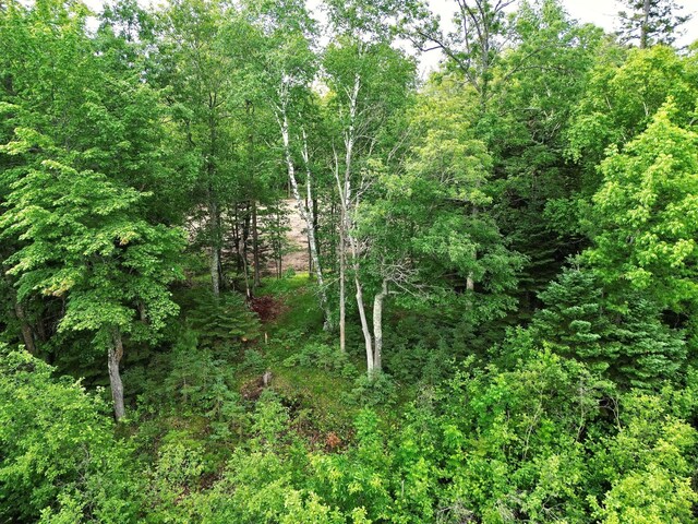 7787 Agency Narrows Dr NW, Walker, MN 56484 - photo 11