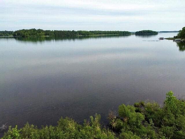 7787 Agency Narrows Dr NW, Walker, MN 56484 - photo 12