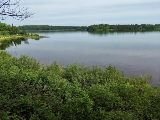 7787 Agency Narrows Dr NW, Walker, MN 56484 - photo 13