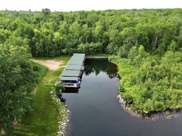 7787 Agency Narrows Dr NW, Walker, MN 56484 - photo 18