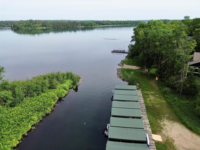 7787 Agency Narrows Dr NW, Walker, MN 56484 - photo 19
