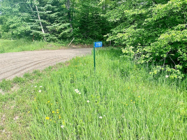 7787 Agency Narrows Dr NW, Walker, MN 56484 - photo 20
