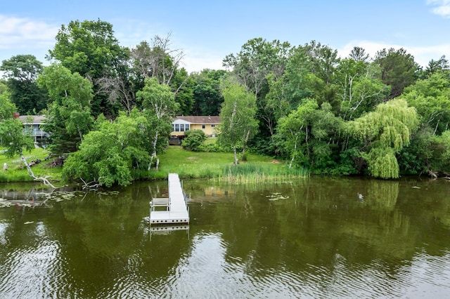 6063 Linwood Dr NE, Linwood Twp, MN 55092 - photo 54