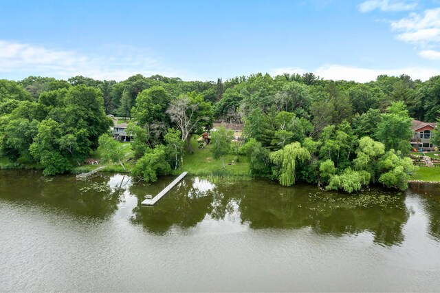 6063 Linwood Dr NE, Linwood Twp, MN 55092 - photo 55