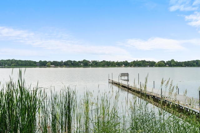 6063 Linwood Dr NE, Linwood Twp, MN 55092 - photo 59