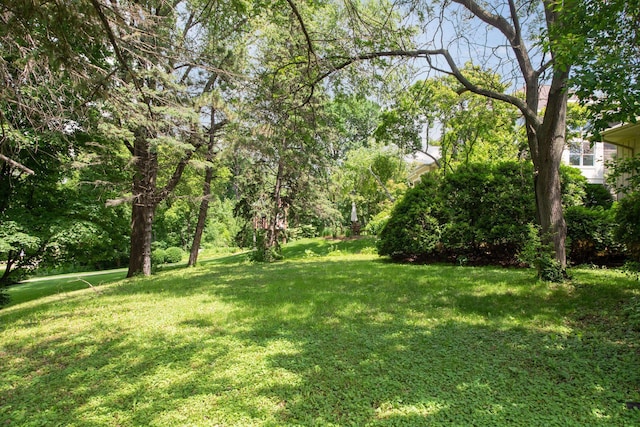 1065 Colby St, Saint Paul, MN 55116 - view of grassy yard