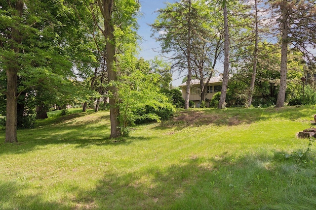 1065 Colby St, Saint Paul, MN 55116 - view of green lawn
