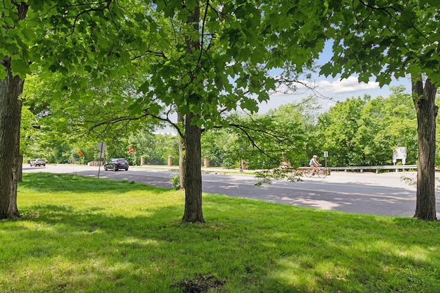 1065 Colby St, Saint Paul, MN 55116 - view of green lawn