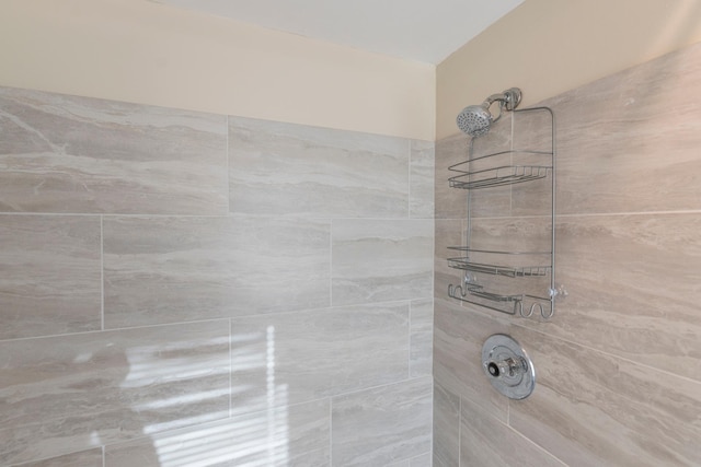 116 3rd Ave, Crosby, MN 56441 - bathroom view of tiled shower
