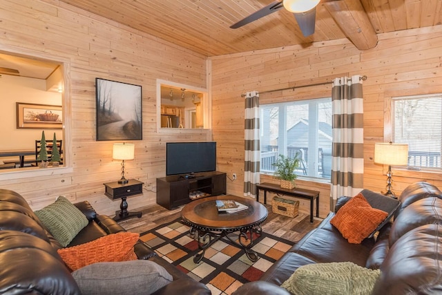 116 3rd Ave, Crosby, MN 56441 - living area with wooden walls, healthy amount of natural light, wooden ceiling, ceiling fan, and wood finished floors