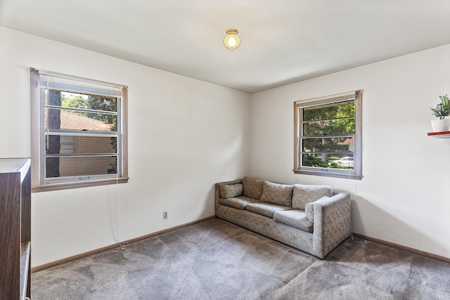 6112 Kyle Ave N, Brooklyn Center, MN 55429 - living area featuring healthy amount of natural light and carpet flooring