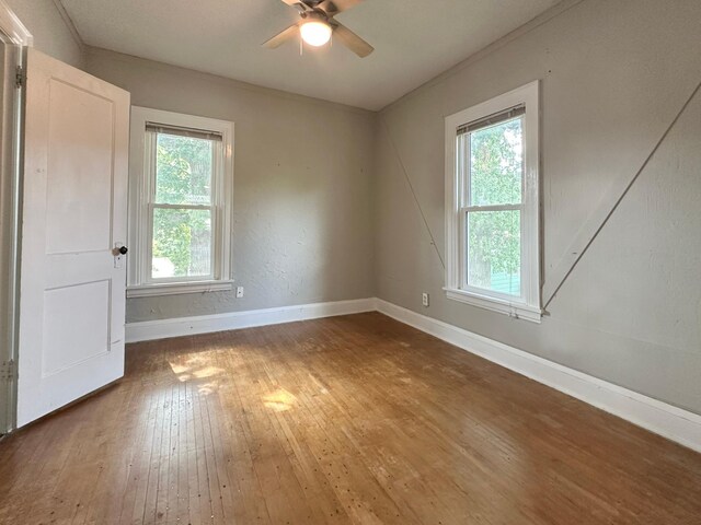 4222 Nokomis Ave, Minneapolis, MN 55406 - photo 12